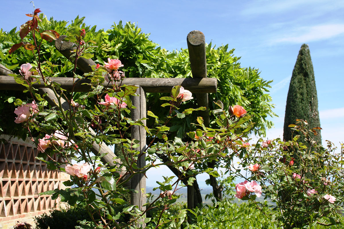 Foto degli esterni del Rigore in Chianti