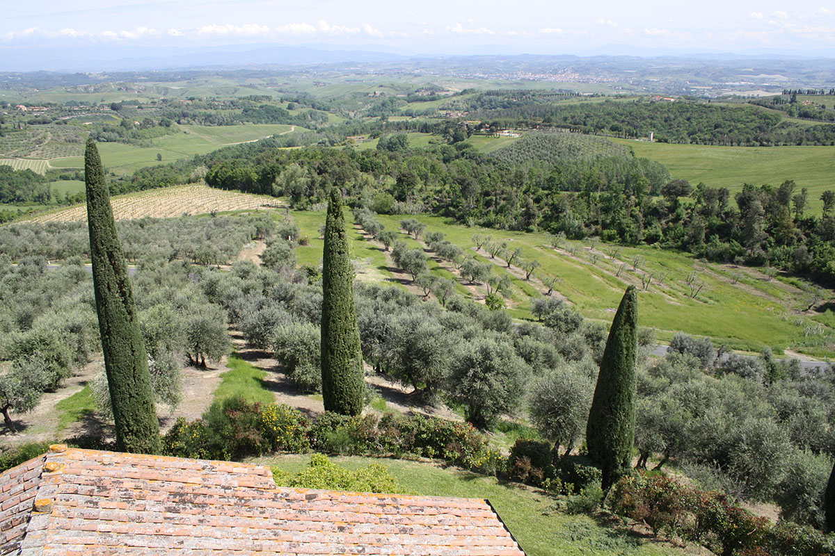 Foto panoramiche del Rigore in Chianti