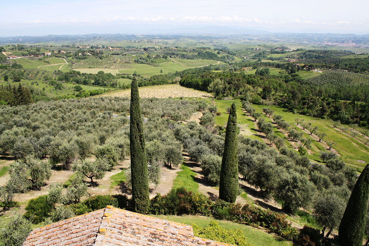 Foto panoramiche del Rigore in Chianti