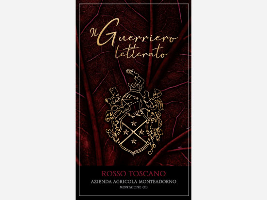 Il Guerriero Letterato